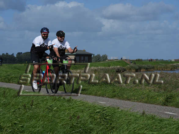D7145.jpg